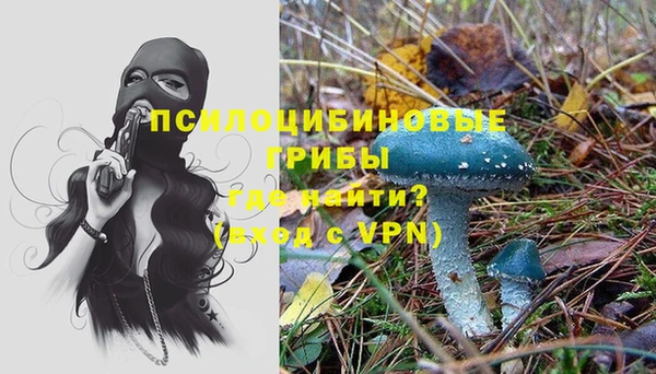 бошки Беломорск
